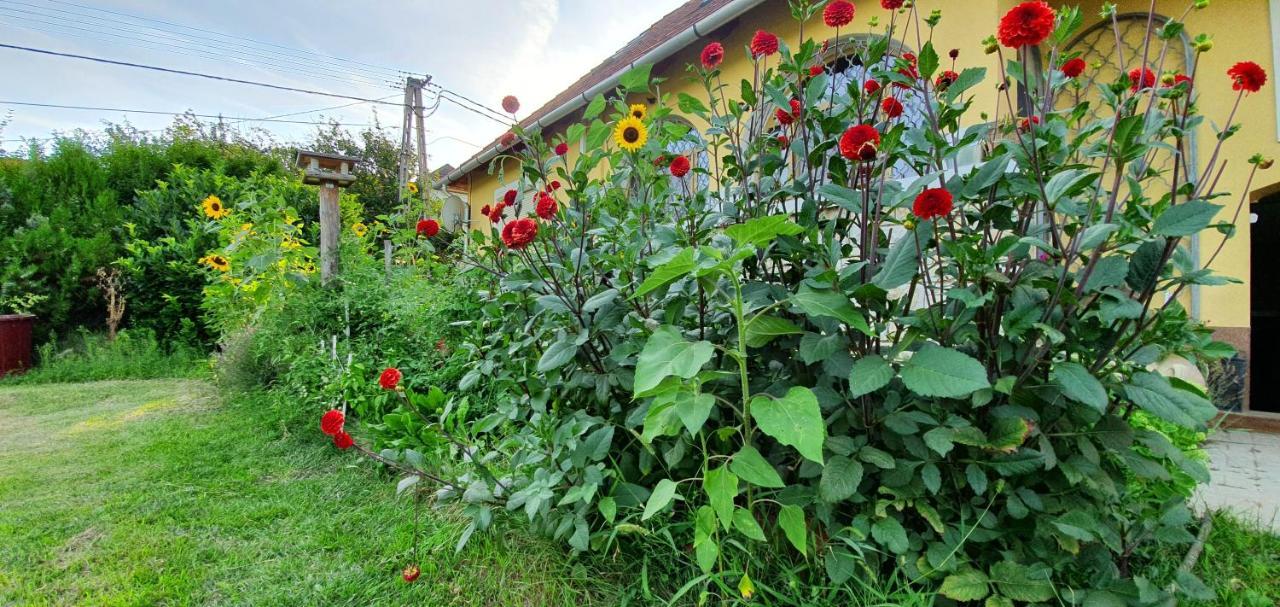 Dalia Apartmanok チョパク エクステリア 写真